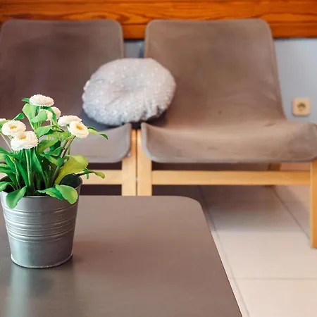 Acogedor Apto Muy Centrico Con Piscina En Apartment